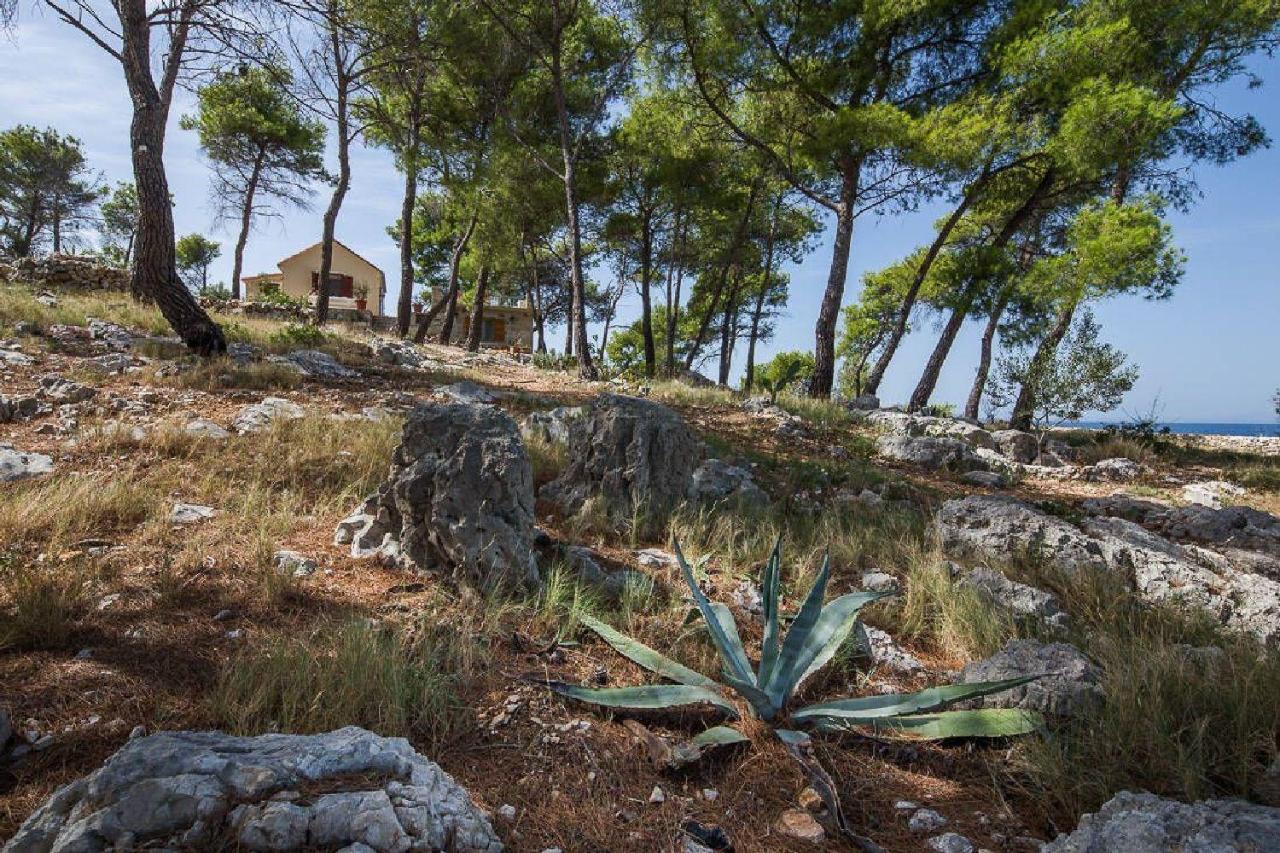 Villa House Vesna Kupinova Milna  Esterno foto